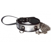 Стильный ошейник с металлическим блеском и поводком - Sitabella - купить с доставкой в Кисловодске
