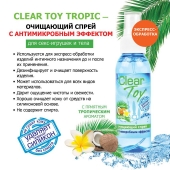 Очищающий спрей для игрушек CLEAR TOY Tropic - 100 мл. - Биоритм - купить с доставкой в Кисловодске