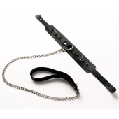 Черный ошейник с шипами и поводком - Crazy Handmade - купить с доставкой в Кисловодске