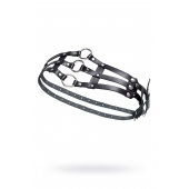 Черный кожаный пояс с кольцами - Pecado - купить с доставкой в Кисловодске