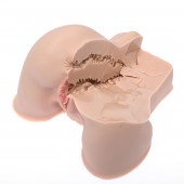 Мастурбатор-полуторс Naked Factory Kate - Naked Factory - в Кисловодске купить с доставкой