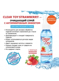 Очищающий спрей для игрушек CLEAR TOY Strawberry - 100 мл. - Биоритм - купить с доставкой в Кисловодске