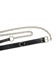 Черный ошейник с поводком Wild - Lola Games - купить с доставкой в Кисловодске