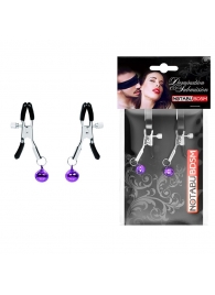 Оригинальные зажимы на соски с фиолетовыми шариками - Notabu - купить с доставкой в Кисловодске