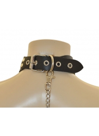 Ошейник  Веселый Роджер - Sitabella - купить с доставкой в Кисловодске