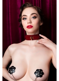 Красный ошейник из лакированного материала - ToyFa - купить с доставкой в Кисловодске