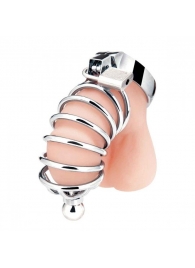 Серебристая клетка для члена Urethral Play Cage - BlueLine - купить с доставкой в Кисловодске