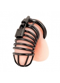 Черная металлическая клетка с замком Deluxe Chastity Cage - BlueLine - купить с доставкой в Кисловодске