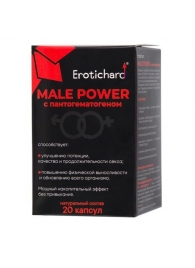 Капсулы для мужчин Erotichard male power с пантогематогеном - 20 капсул (0,370 гр.) - Erotic Hard - купить с доставкой в Кисловодске