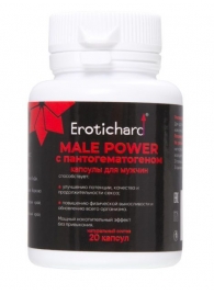 Капсулы для мужчин Erotichard male power с пантогематогеном - 20 капсул (0,370 гр.) - Erotic Hard - купить с доставкой в Кисловодске