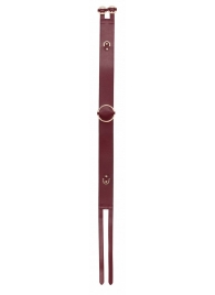 Бордовый ремень Halo Waist Belt - размер L-XL - Shots Media BV - купить с доставкой в Кисловодске