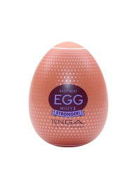 Мастурбатор-яйцо Tenga Egg Misty II - Tenga - в Кисловодске купить с доставкой