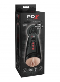 Мастурбатор-вагина с вибрацией Dirty Talk Starter Stroker - Pipedream - в Кисловодске купить с доставкой