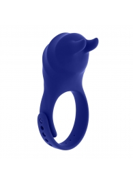 Синее эрекционное виброкольцо с клиторальной подушечкой и пультом ДУ Adjustable Fun Ring - Zero Tolerance - в Кисловодске купить с доставкой