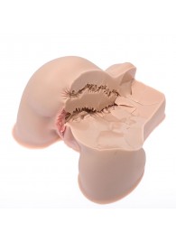 Мастурбатор-полуторс Naked Factory Kate - Naked Factory - в Кисловодске купить с доставкой