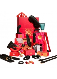 Адвент-календарь Lovehoney Couple’s Advent Calendar 2025 - We-vibe - купить с доставкой в Кисловодске