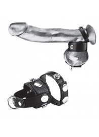 Утяжка для мошонки и пениса Cock Ring With 1  Ball Stretcher And Optional Weight Ring - BlueLine - купить с доставкой в Кисловодске