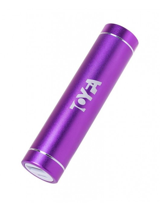 Портативное зарядное устройство A-toys 2400 mAh microUSB - A-toys - купить с доставкой в Кисловодске