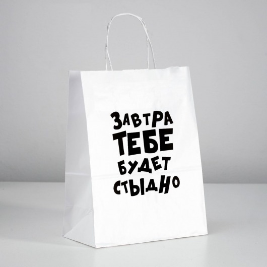 Подарочный пакет  Завтра тебе будет стыдно  - 30 х 24 см. - UPAK LAND - купить с доставкой в Кисловодске