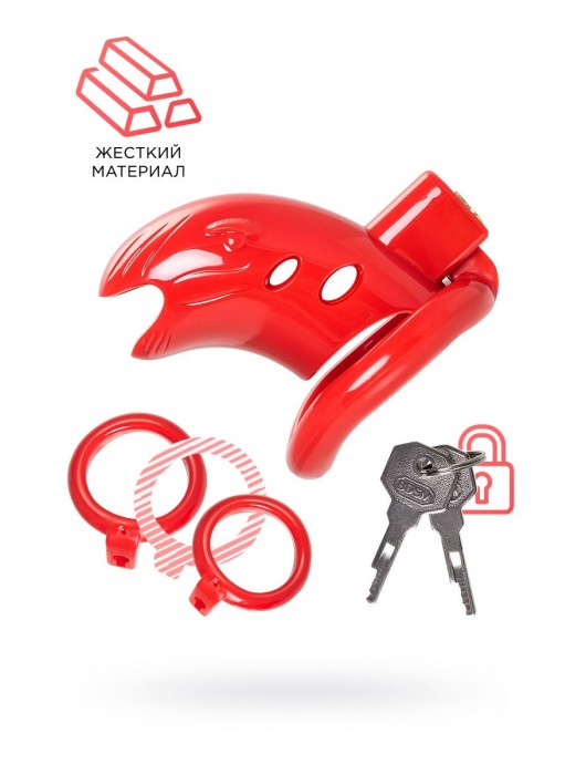 Красный мужской пояс верности из пластика - ToyFa - купить с доставкой в Кисловодске