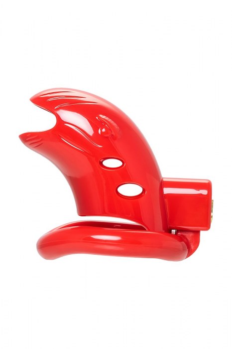 Красный мужской пояс верности из пластика - ToyFa - купить с доставкой в Кисловодске