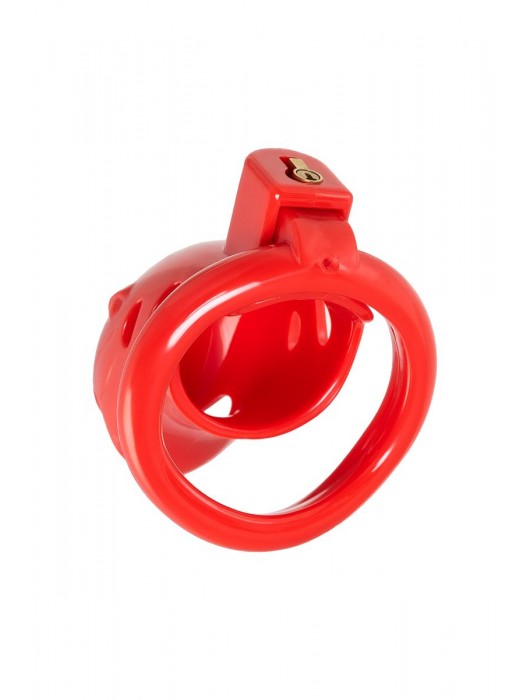 Красный мужской пояс верности из пластика - ToyFa - купить с доставкой в Кисловодске