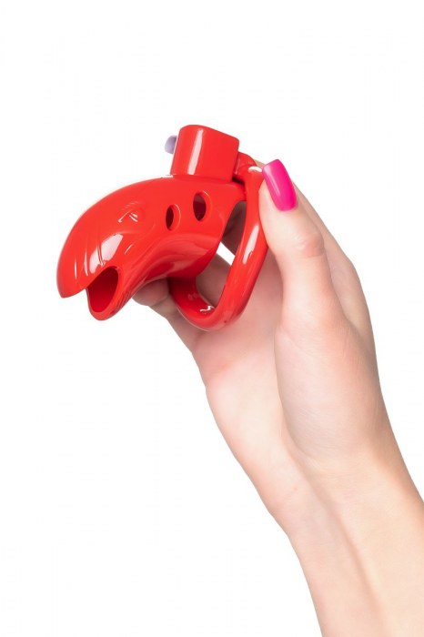 Красный мужской пояс верности из пластика - ToyFa - купить с доставкой в Кисловодске