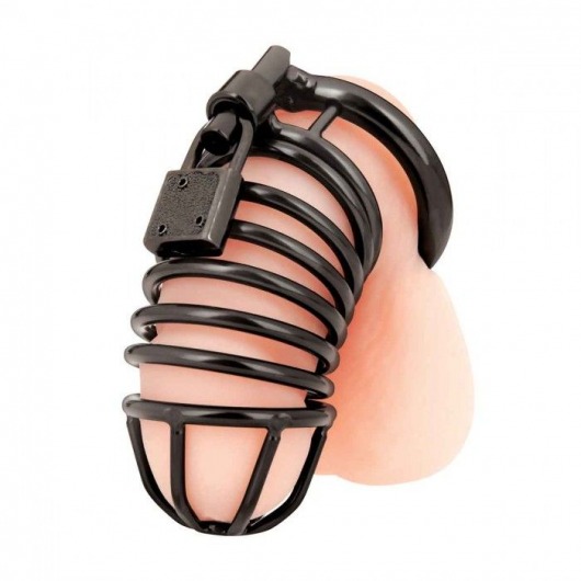 Черная металлическая клетка с замком Deluxe Chastity Cage - BlueLine - купить с доставкой в Кисловодске