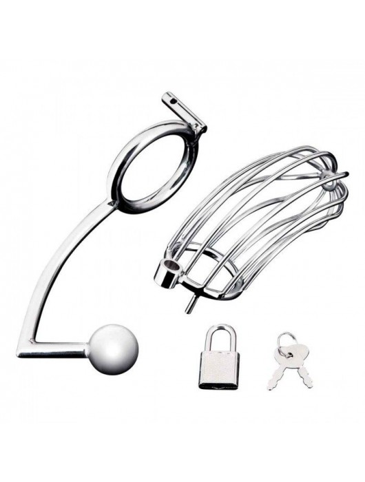 Серебристая металлическая клетка с анальным стимулятором Cock Cage - BlueLine - купить с доставкой в Кисловодске