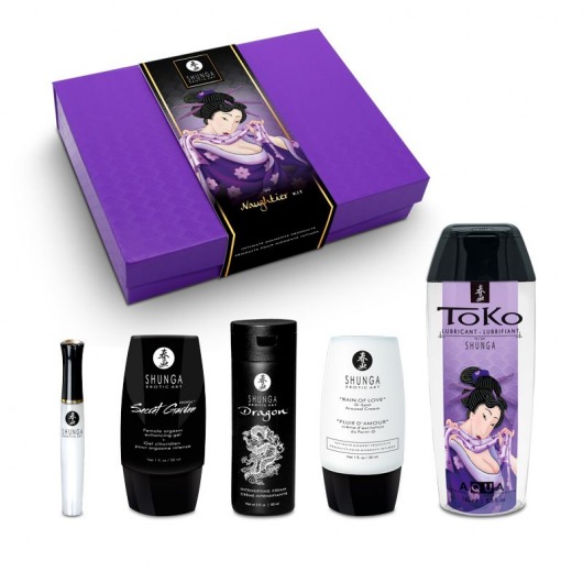 Подарочный набор Naughter Kit - Shunga - купить с доставкой в Кисловодске