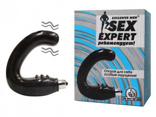 Чёрный массажёр простаты серии Sex Expert - Sex Expert - в Кисловодске купить с доставкой