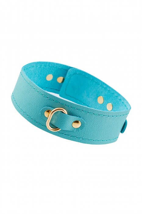 Голубой кожаный однослойный ошейник с прошивкой - Pecado - купить с доставкой в Кисловодске