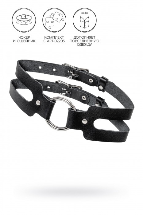 Черный кожаный чокер-ошейник из двух ремешков - Pecado - купить с доставкой в Кисловодске