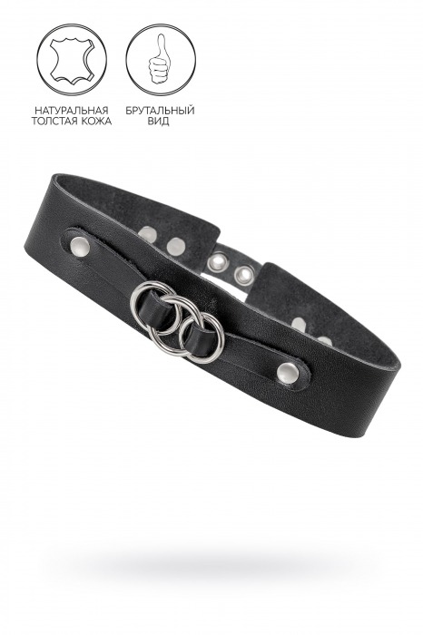 Черный чокер-ошейник со связанными кольцами на подложке - Pecado - купить с доставкой в Кисловодске