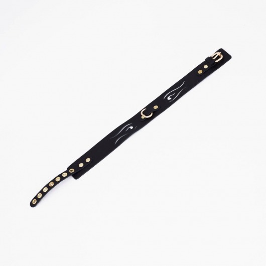 Черный кожаный ошейник с золотистой фурнитурой - Crazy Handmade - купить с доставкой в Кисловодске