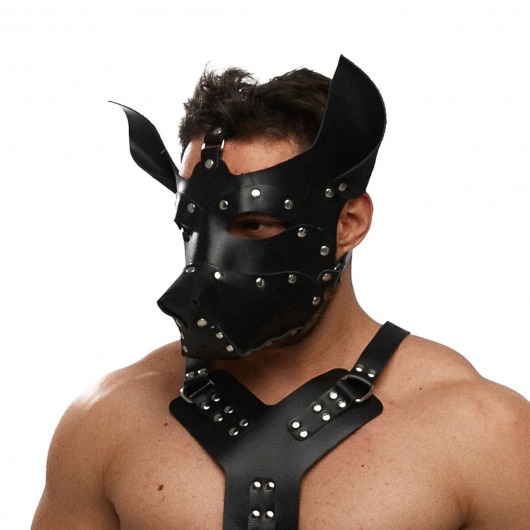 Черная кожаная маска «Собака» - Crazy Handmade - купить с доставкой в Кисловодске