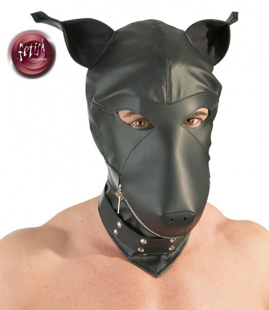 Шлем-маска Dog Mask в виде морды собаки - Orion - купить с доставкой в Кисловодске