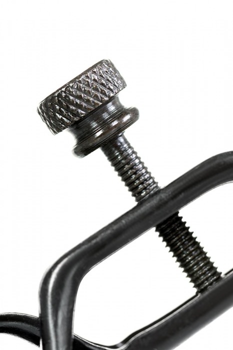 Черно-золотистые зажимы для сосков TOYFA Theatre - ToyFa - купить с доставкой в Кисловодске