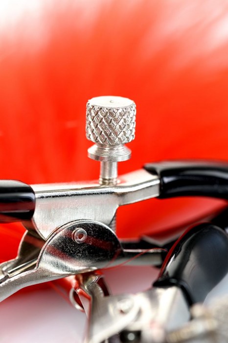 Зажимы для сосков с красным пухом Theatre - ToyFa - купить с доставкой в Кисловодске