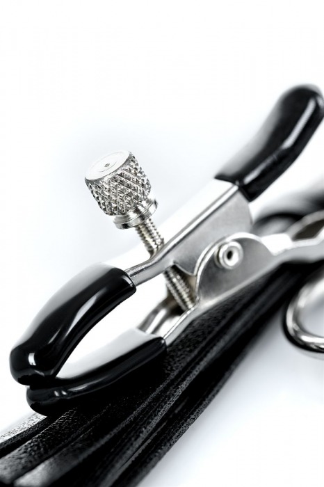 Черно-серебристые зажимы для сосков Theatre с кисточками - ToyFa - купить с доставкой в Кисловодске