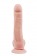 Телесный фаллоимитатор-реалистик Dual Density Dildo - 23 см. - Dream Toys купить с доставкой в интернет-магазине Orgasmix в Кисловодске Телесный фаллоимитатор-реалистик Dual Density Dildo - 23 см. - Dream Toys