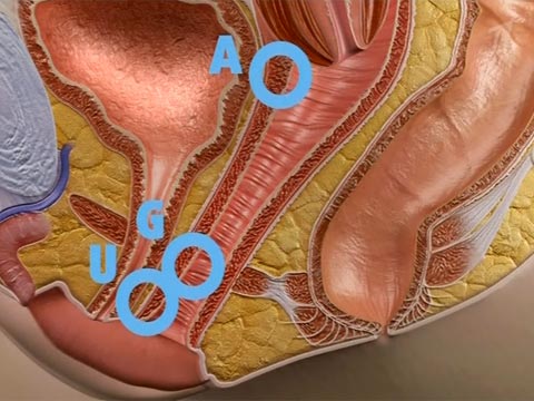 Где находится точка G, точка А и точка U 1381080092_pr20120206165435.jpg